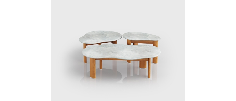 Mesa de Centro Organika